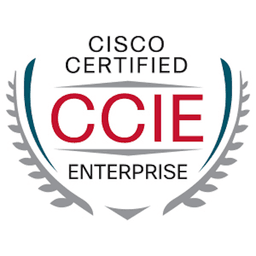 CISCO Certified CCIE